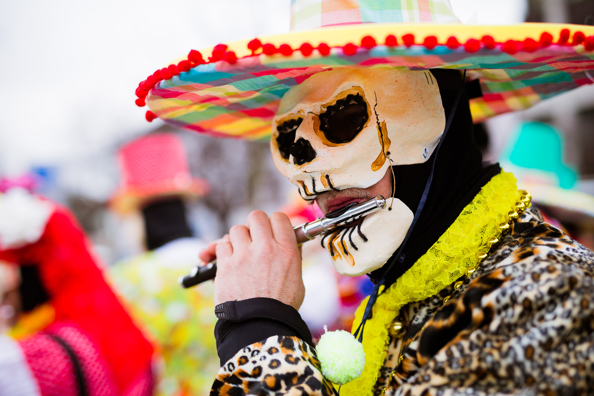 Export x3 1DX 7184 Basler Fasnacht 2016